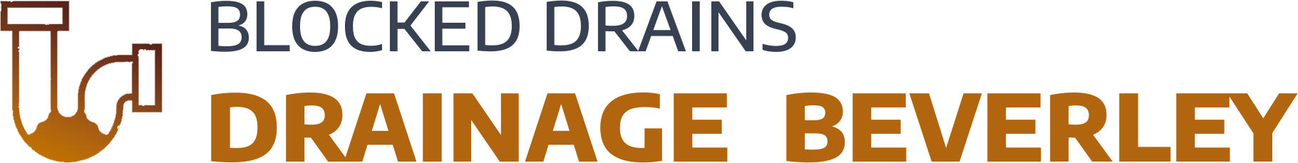website logo